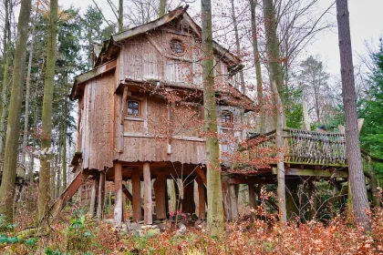 Vue d'une cabane perchée dans les arbres avec vue panoramique sur la forêt et les montagnes