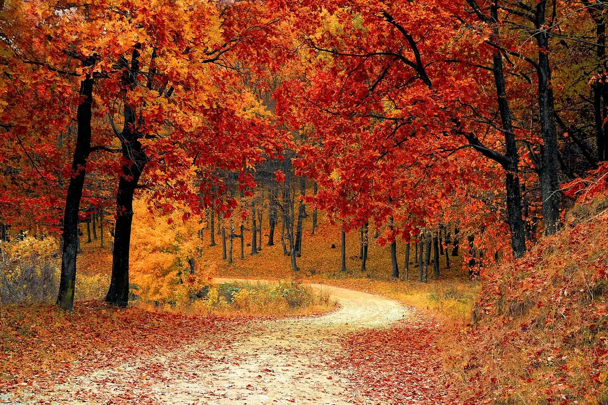 Randonnée en montagne avec sentiers naturels et paysage de printemps
