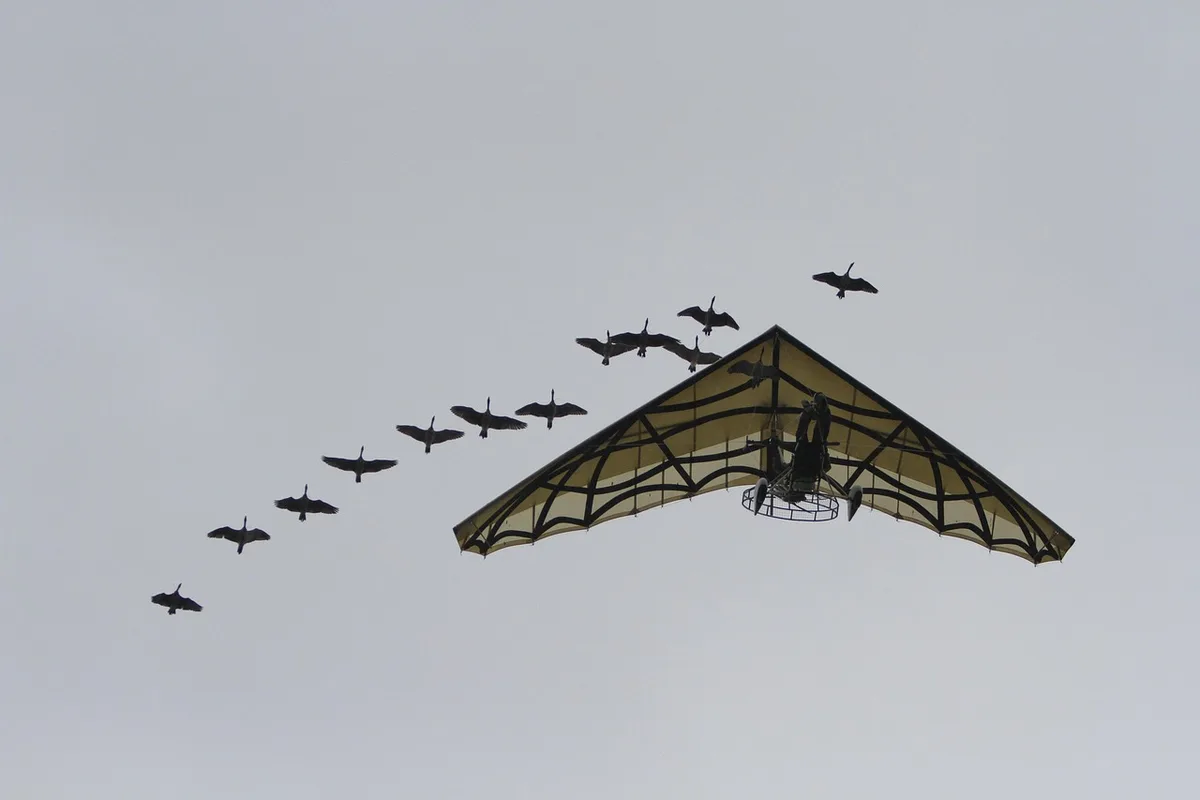 Spectacle en plein air au Puy du Fou avec foule émerveillée
