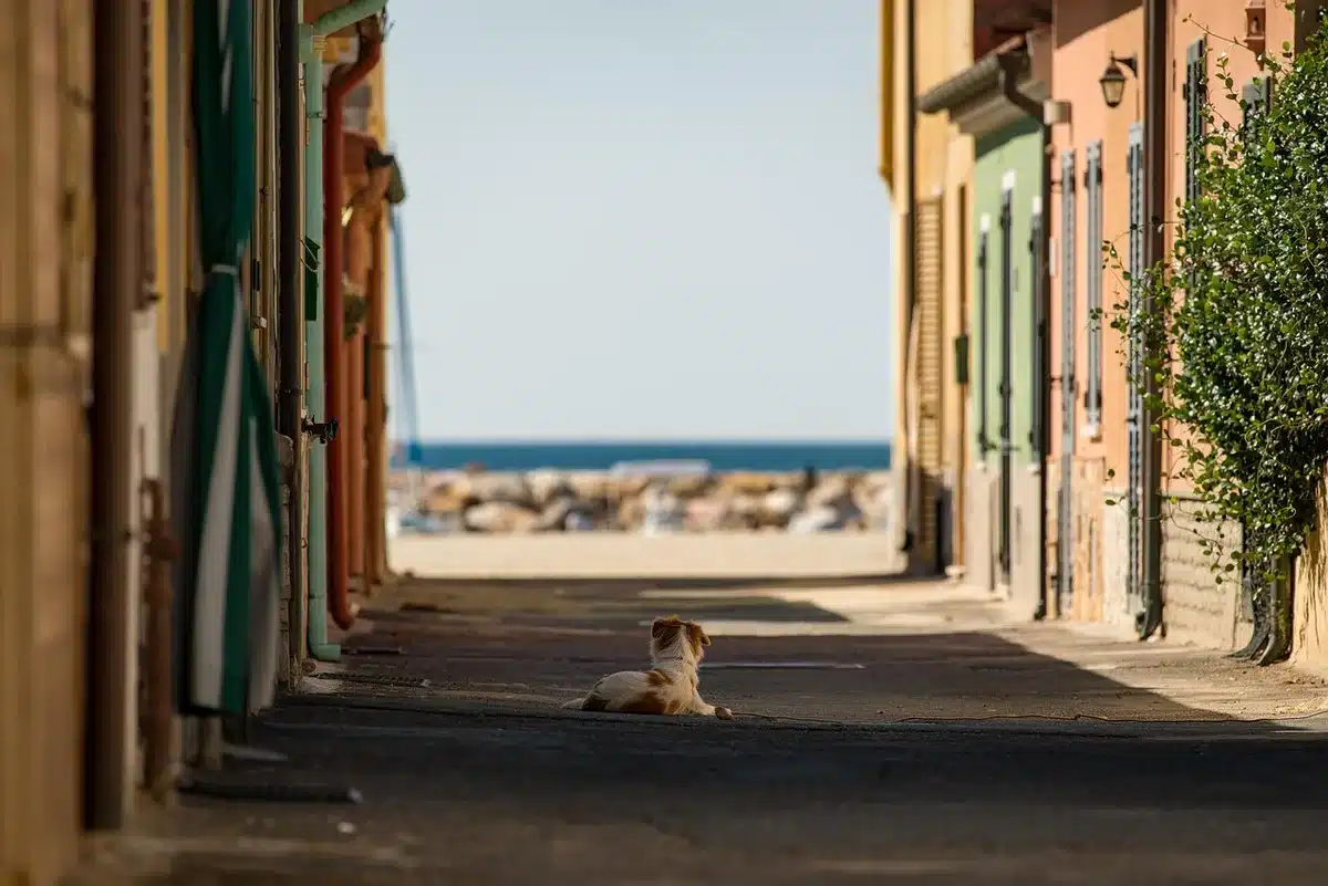Vespa sur une route côtière sinueuse avec vue sur la mer