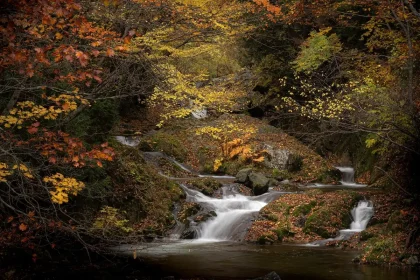 Amphithéâtre de cascades et vasques naturelles entourées de végétation