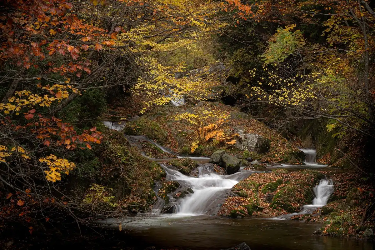 Amphithéâtre de cascades et vasques naturelles entourées de végétation