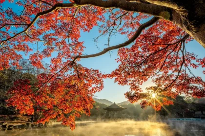 Route panoramique au Québec en automne avec érables colorés et carte routière sur un banc