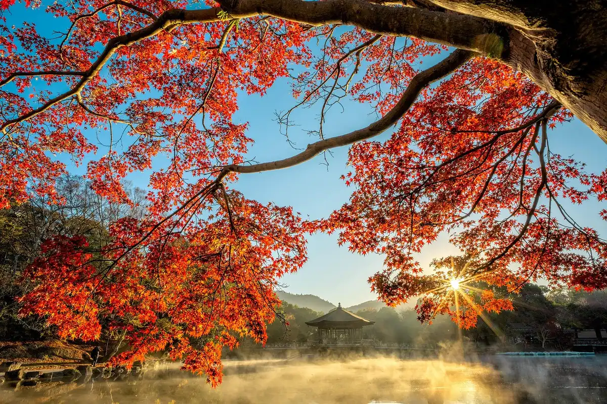 Route panoramique au Québec en automne avec érables colorés et carte routière sur un banc