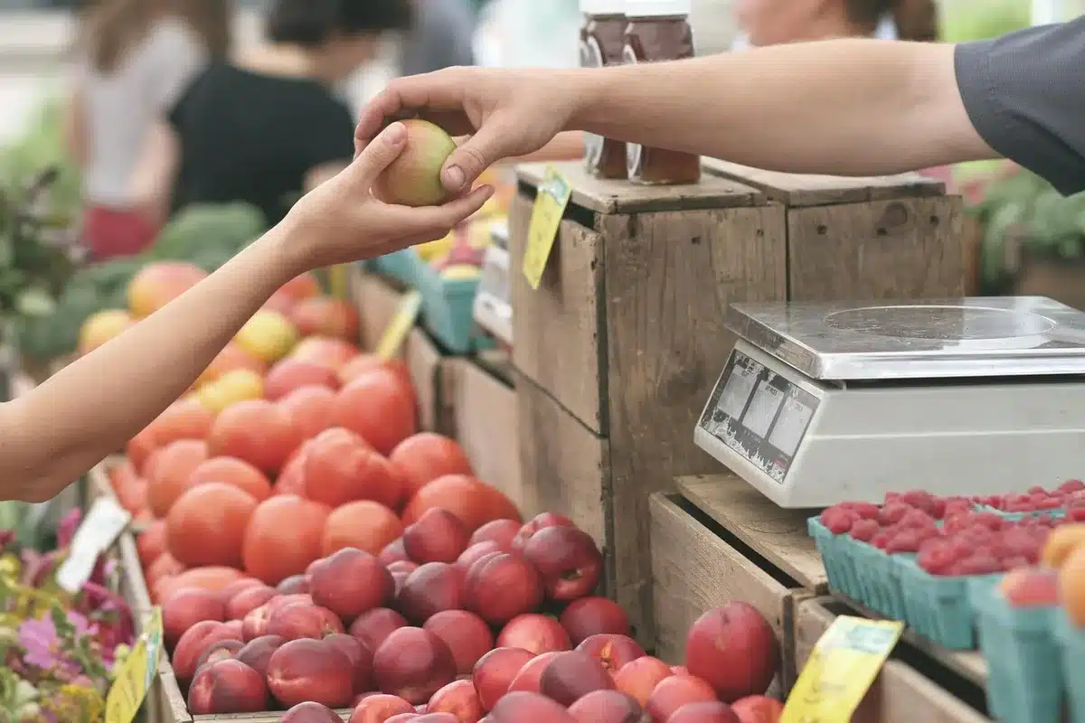 Stand de marché d'artisans avec cartes postales variées en jour ensoleillé