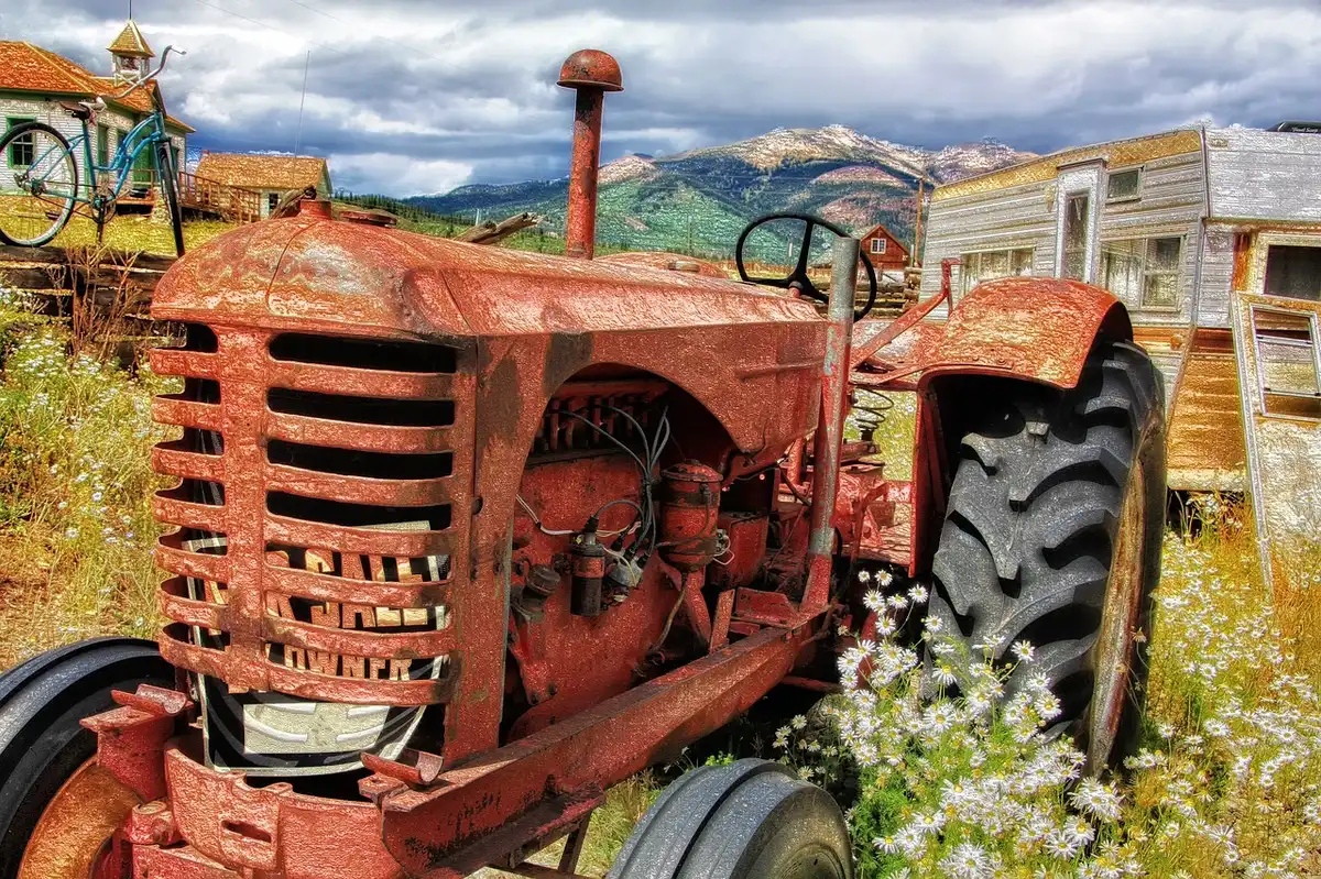 Champs agricoles biélorusses avec tracteur et cultures étendues