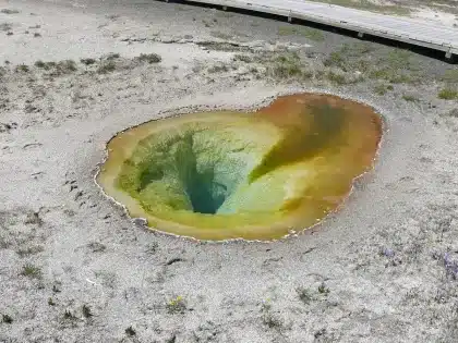 Passerelle en bois au-dessus de bassins géothermiques colorés à Yellowstone en plein jour
