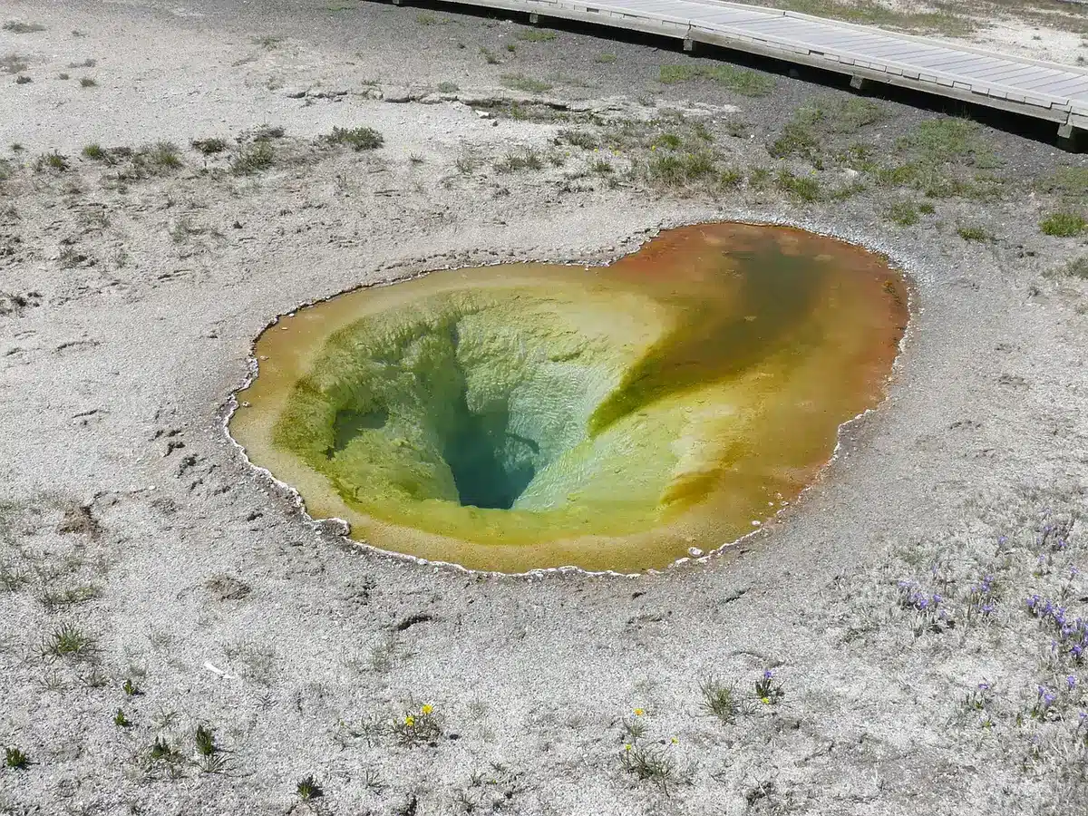 Passerelle en bois au-dessus de bassins géothermiques colorés à Yellowstone en plein jour