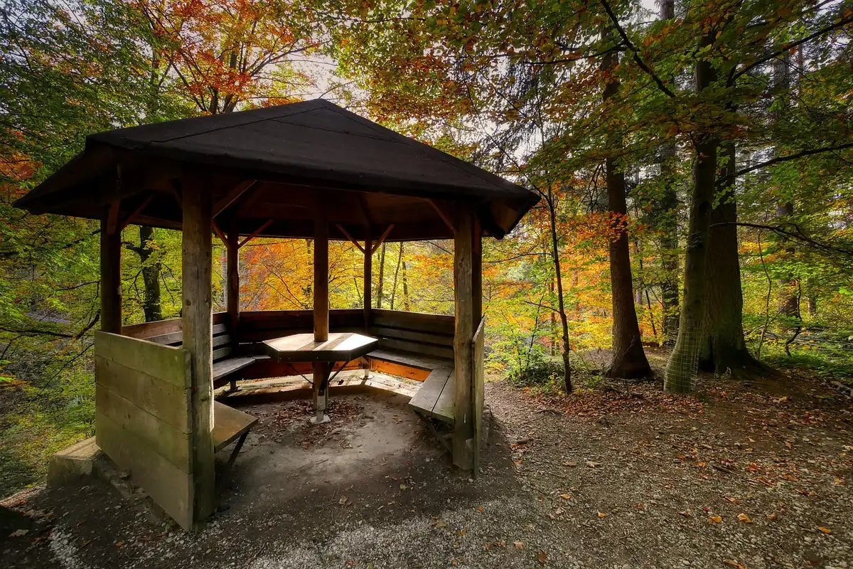 Sentier de randonnée automnal bordé d'arbres aux feuilles colorées